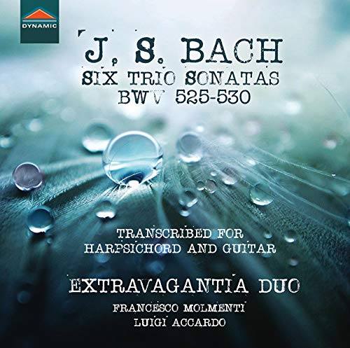 Read more about the article Extravagantia Duo – J. S. Bach – 6 Triosonate BWV 525-530 (Transcribed for harpsichord and guitar)